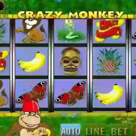 Crazy Monkey