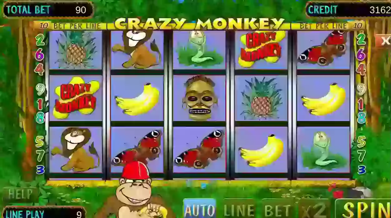 crazy monkey