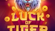 Luck of Tiger